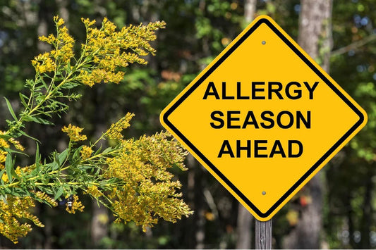 Hooikoorts, Pollen en hoe Coways Airmega Luchtreinigers de Luchtkwaliteit Verbeteren