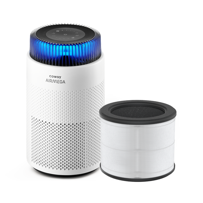 Filters voor Airmega 100