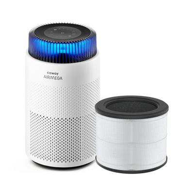 Filters voor Airmega 100